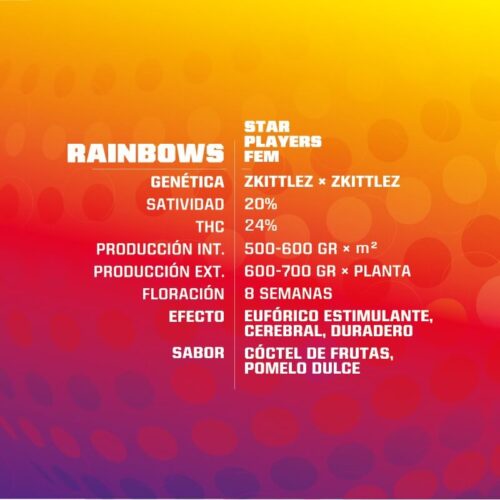 BSF Descripción Rainbows