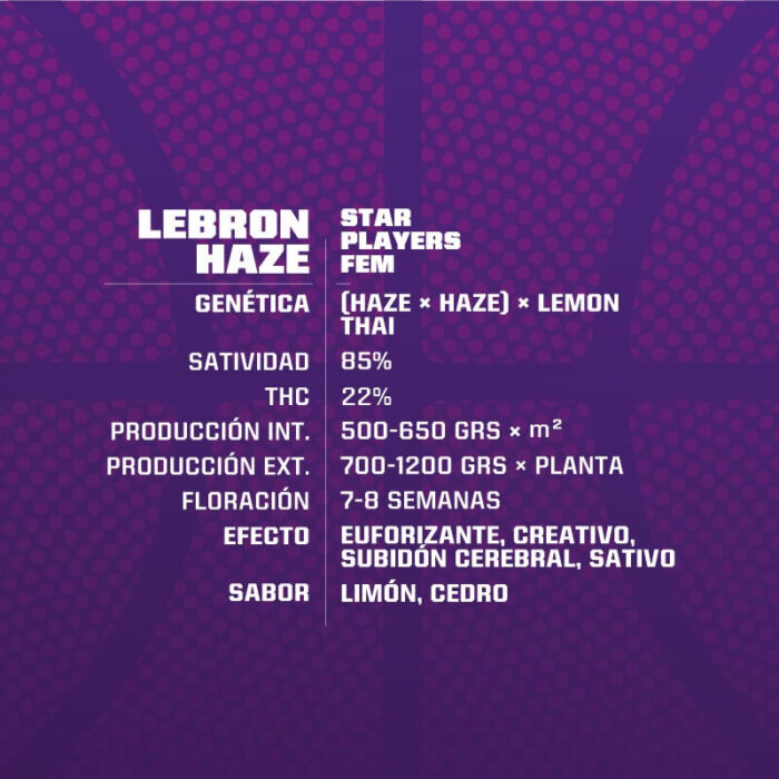 BSF Descripción Lebron Haze