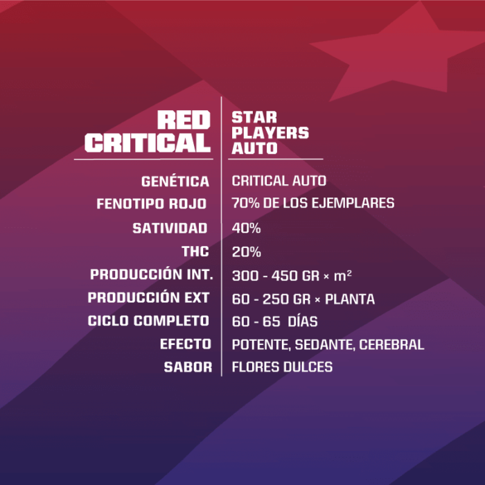 BSF Descripción Red Critical auto