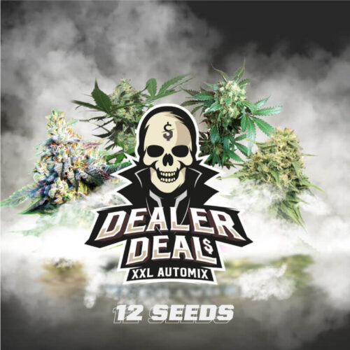 BSF Mix Dealer Deal XXL auto