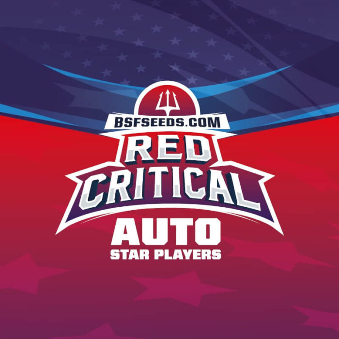 BSF Red Critical auto start players