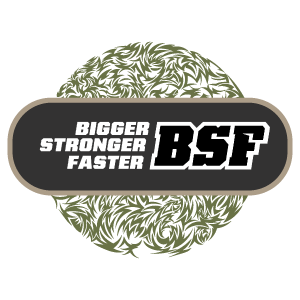 Logo bigger stronger faster