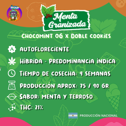 10 menta granizada2