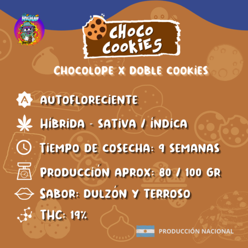 13 choco cookies2