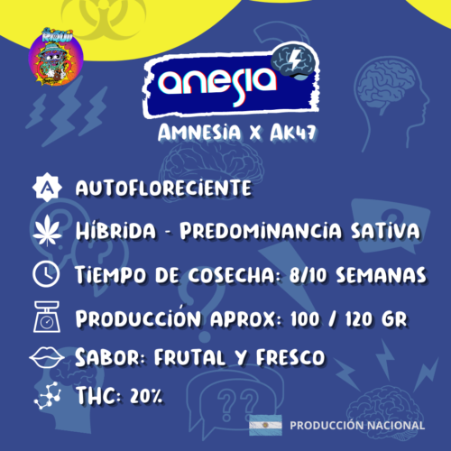 16 anesia2