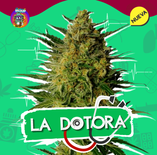 23 la dotora1