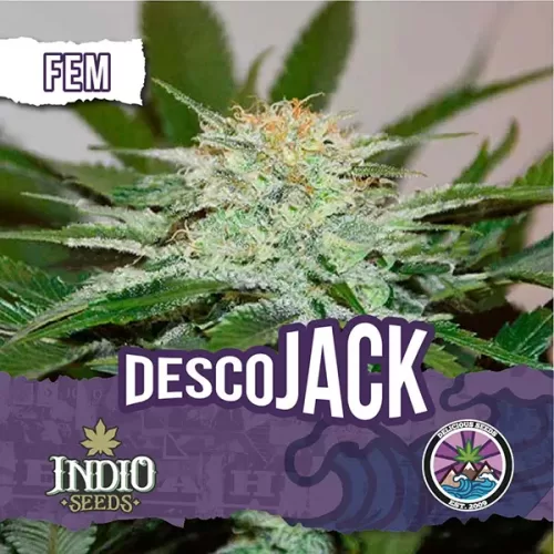 Descojack 09