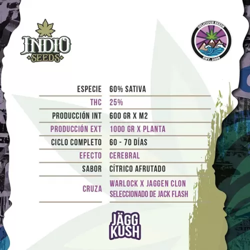 Jagg Kush descripcion