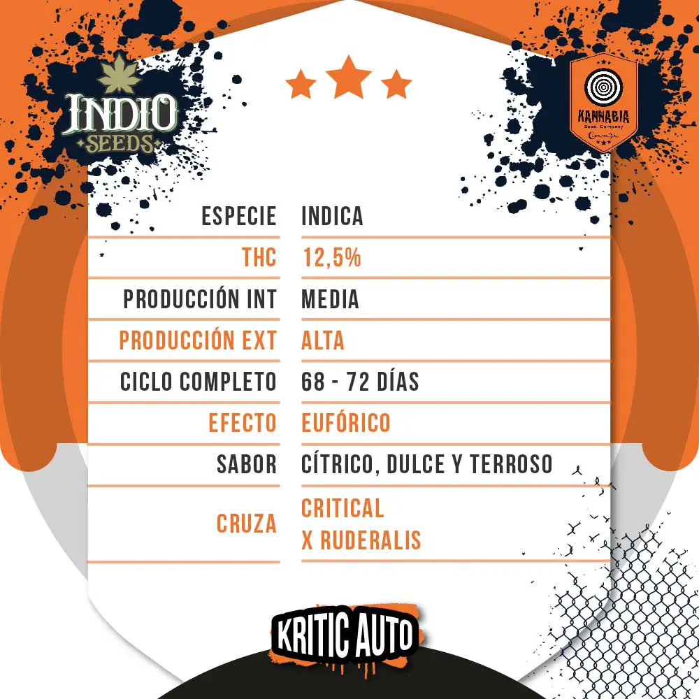 Kitric Auto - Kannabia - Imagen 2