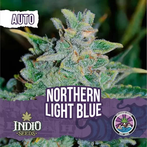 Northern Lights Blue 04