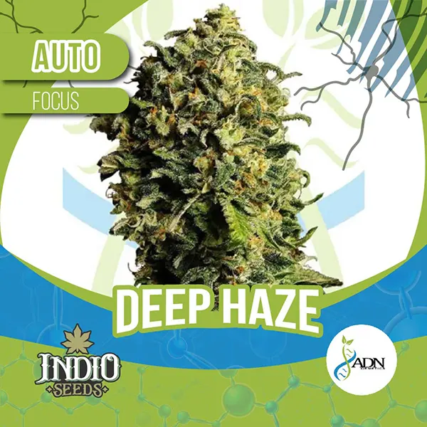 adn genetics auto deep haze descripcion