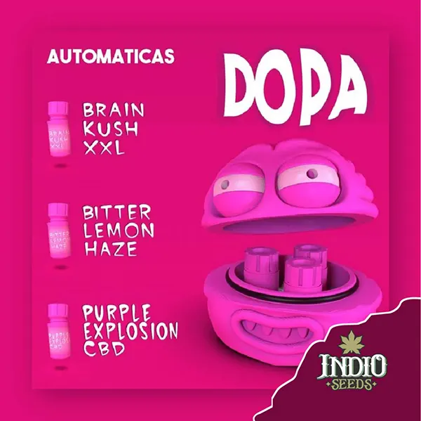 brain melts baby dopa