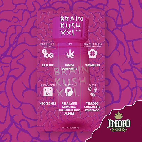 brain melts baby dopa brain kush xxl