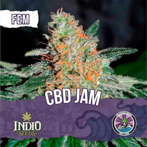 delicious seeds cb jam