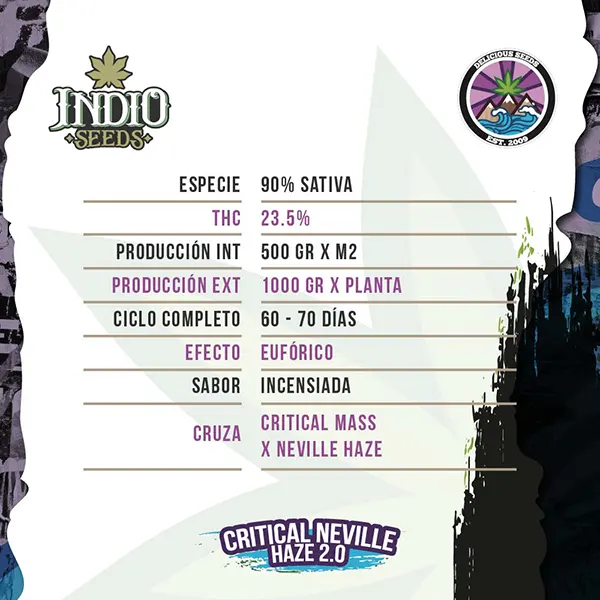 delicious seeds critical neville haze 2.0 descripcion