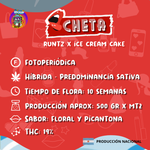 cheta2