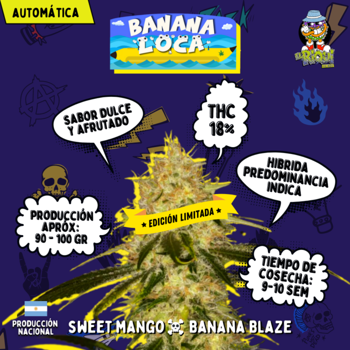 Auto Banana Loca x4 - El Riqui Genetics