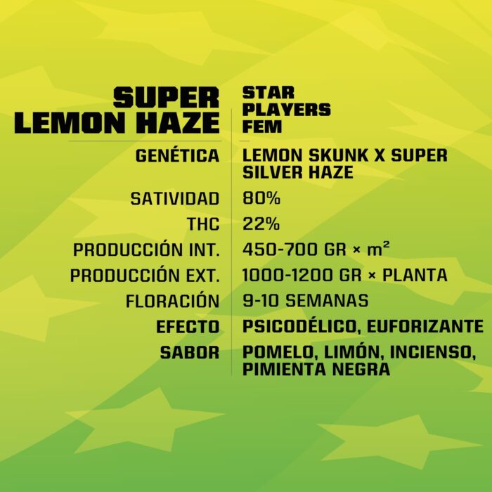 SLH x4- Super Lemon Haze Fem - BSF - Imagen 2