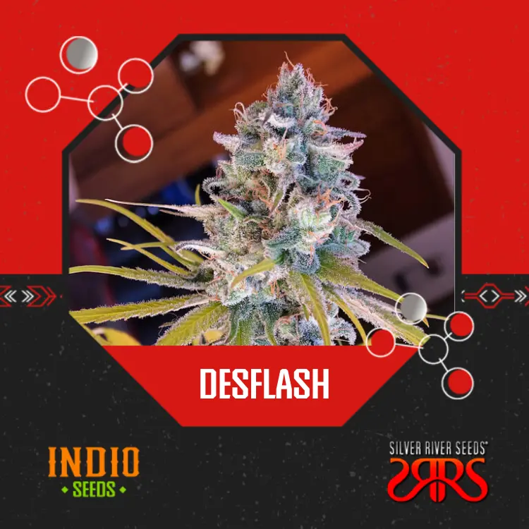 Desflash x5 - Silver River