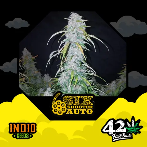 Six Shooter x3 - FastBuds