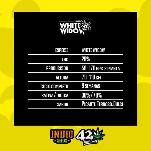 White Widow x3 - FastBuds - Imagen 2