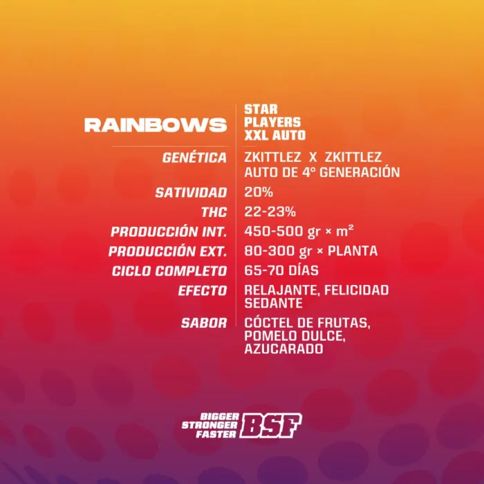 Rainbows XXL Auto x4 - BSF - Imagen 2
