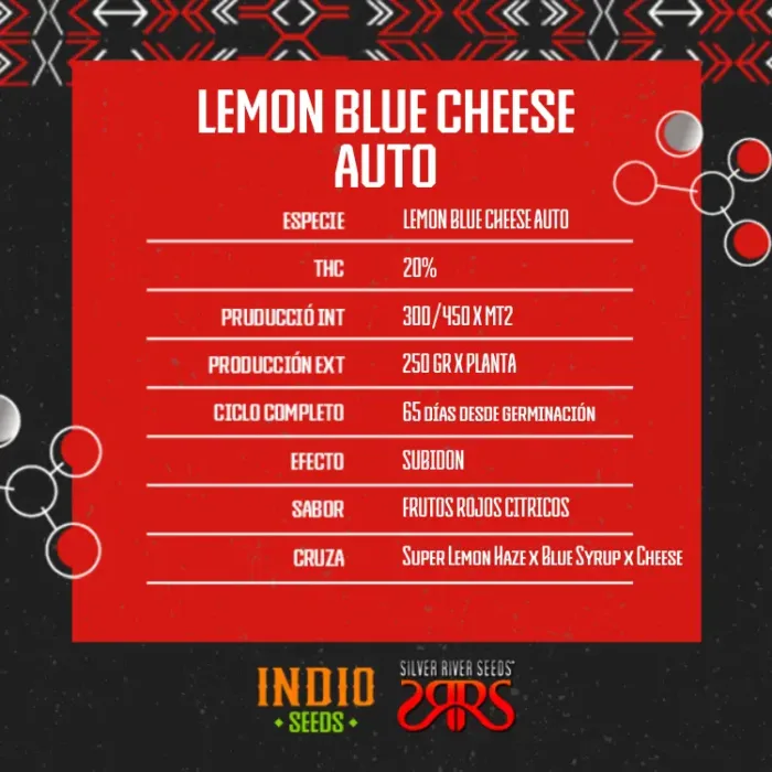 Lemon Blue Cheese Auto x5 - Silver River - Imagen 2