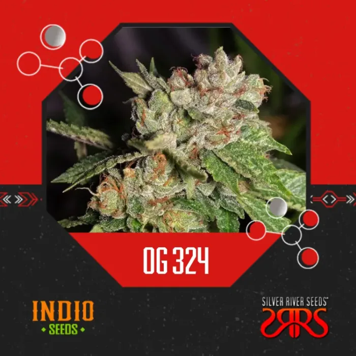 OG 324 x5 - Silver River
