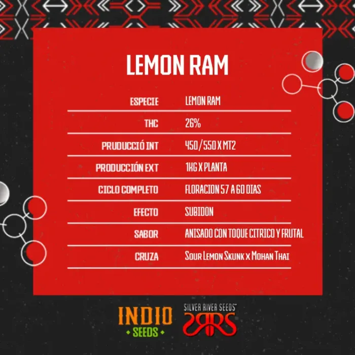 Lemon Ram x5 - Silver River - Imagen 2