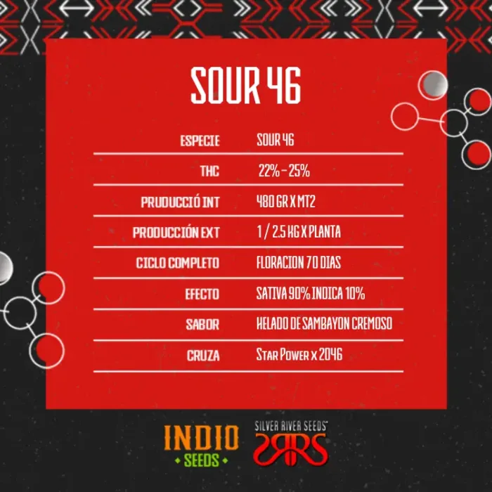 Sour 46 x5 - Silver River - Imagen 2