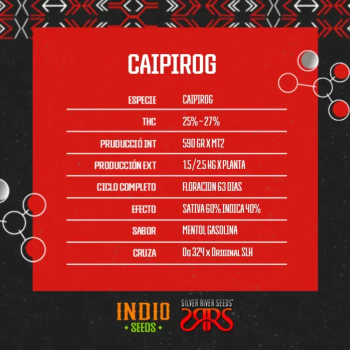 Caipirog x5 - Silver River - Imagen 2