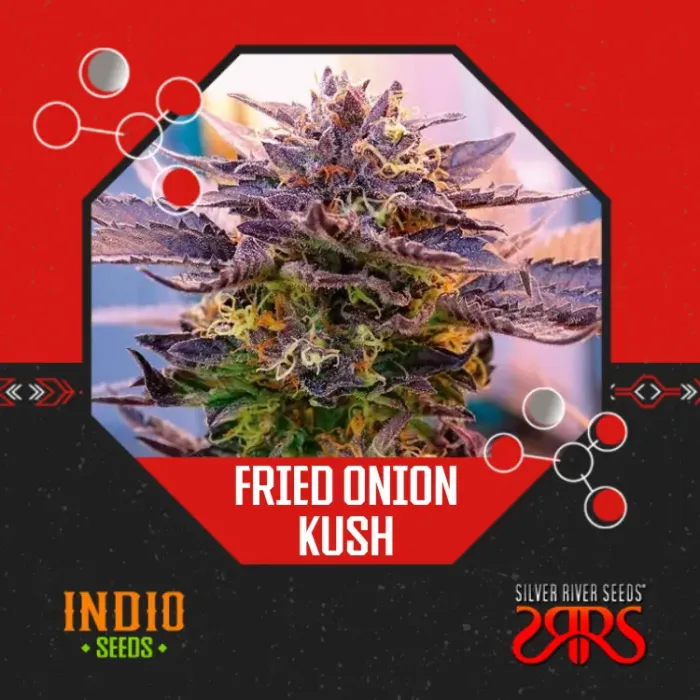 Fried Onion Kush x5 - Silver River