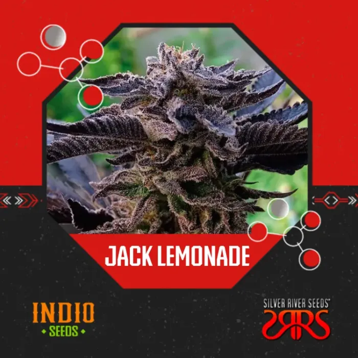 Jack Lemonade x5 - Silver River
