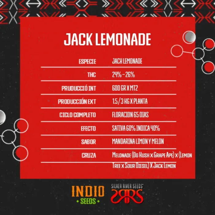 Jack Lemonade x5 - Silver River - Imagen 2