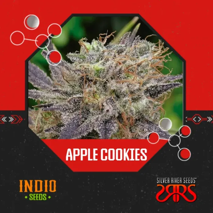 Apple Cookies x5 - Silver River