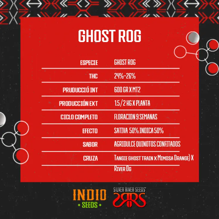 Ghost Rog x5 - Silver River - Imagen 2