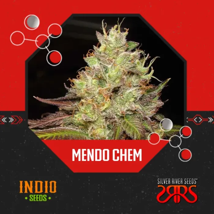 Mendo Chem x5 - Silver River