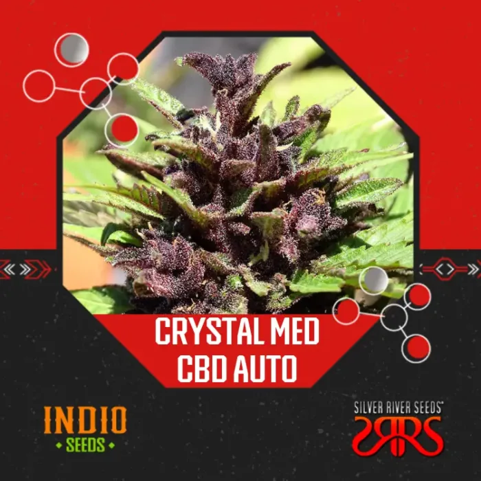 Crystal Med CBD Auto x5 - Silver River