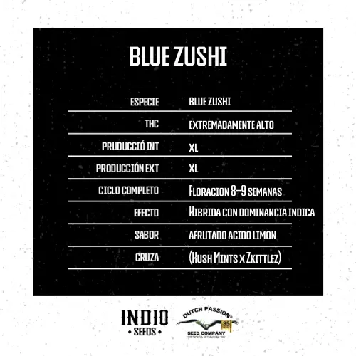 Blue Zushi x3 - DutchPassion - Imagen 2