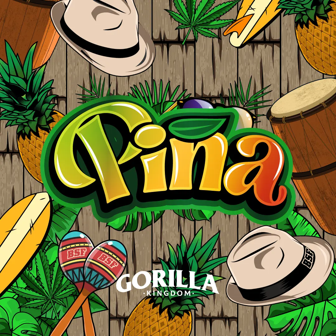 Gorilla Piña Fem x4 - BSF - Imagen 2