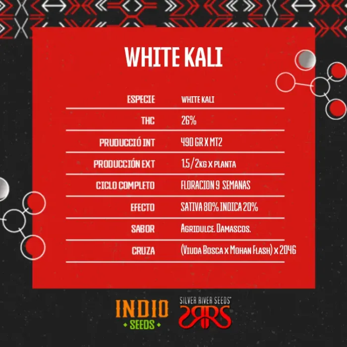 White Kali x5 - Silver River - Imagen 2