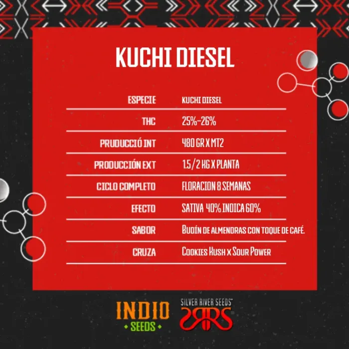 Kuchi Diesel x5 - Silver River - Imagen 2