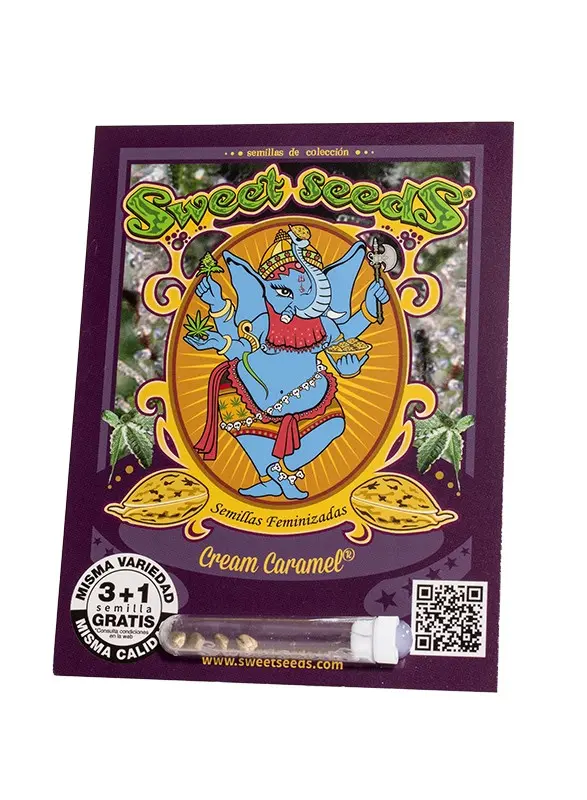 Cream Caramel 3+1 - Sweet Seeds - Imagen 3