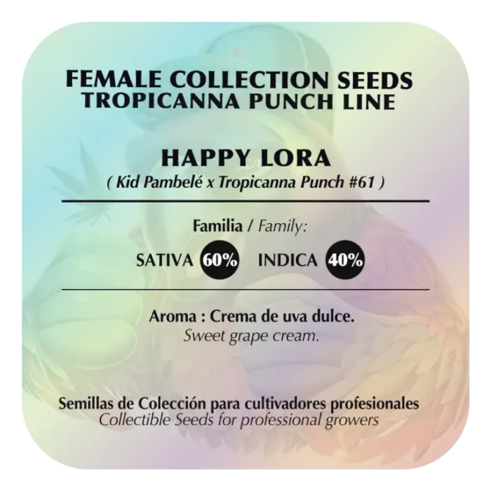 Happy Lora x5 - BlackTuna - Imagen 2