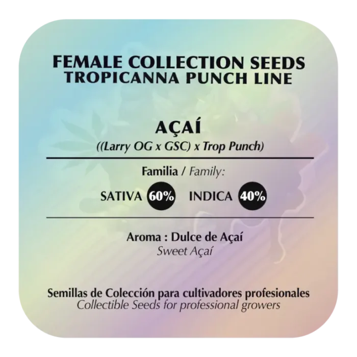 AÇAI x5 - BlackTuna - Imagen 2