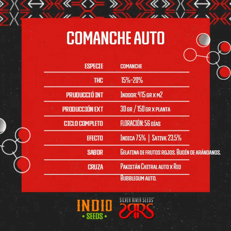 Comanche Auto x5 - Silver River - Imagen 2