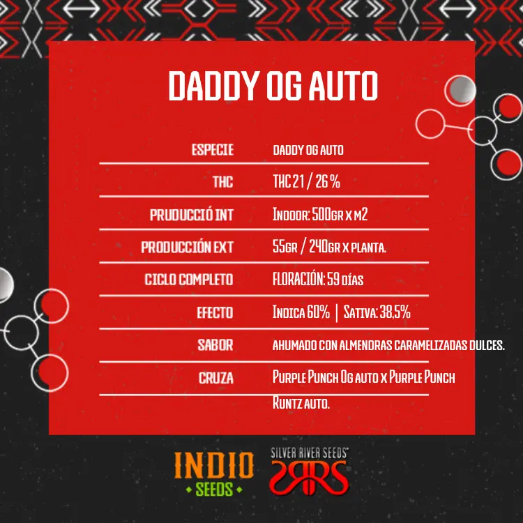 Daddy Og Auto x 5 - Silver River - Imagen 2