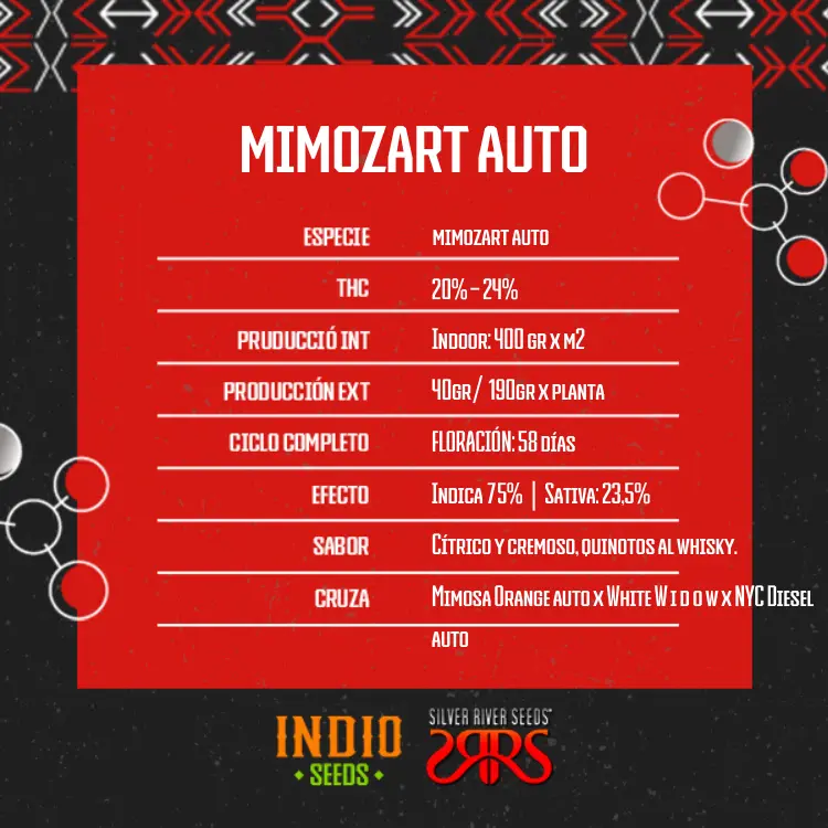 Mimozart Auto x5 - Silver River - Imagen 2