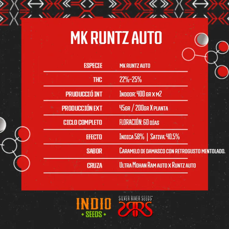 MK Runtz Auto x5 - Silver River - Imagen 2