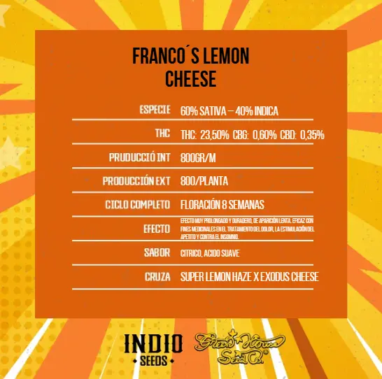 Franco´s Lemon Cheese x6 - Green House - Imagen 2